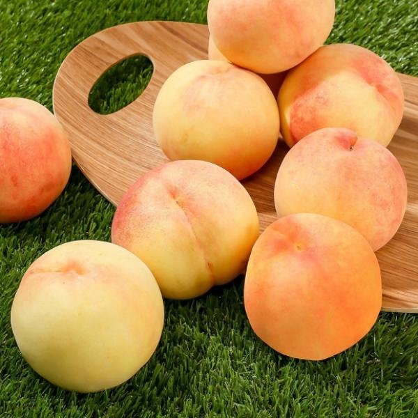 [초록자연] 엘바 백도 복숭아 4kg (11-13과) (왕특)