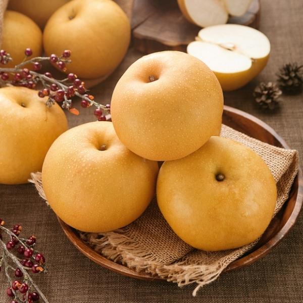 [초록자연] 신고 배 15kg(21-25과) (특)