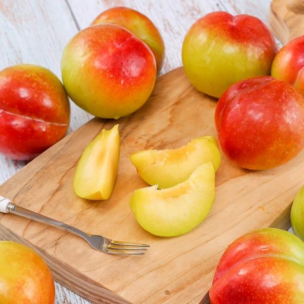 [초록자연] 추희 자두 3kg (18-21과) (왕왕)
