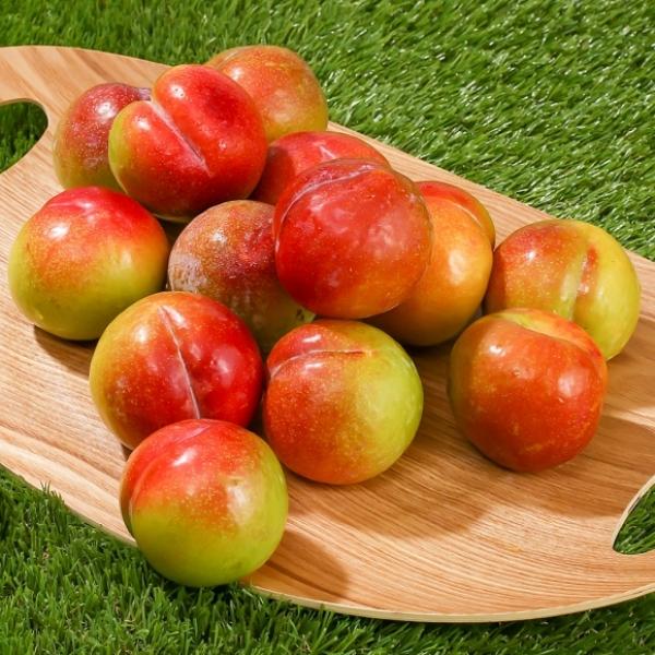 [초록자연] 추희 자두 5kg (41-45과) (특)