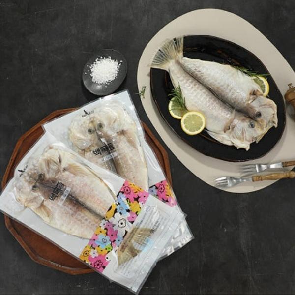 제주산 백옥돔 5마리 선물세트