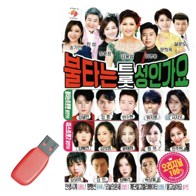 USB 불타는 트롯 성인가요
