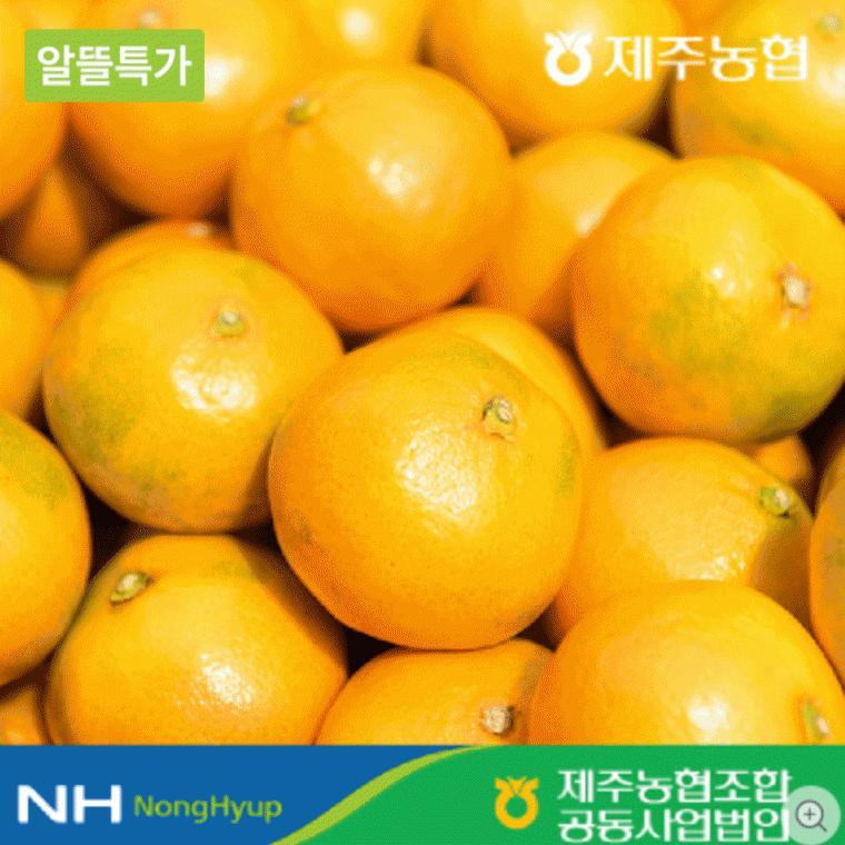 12birx 제주도 하우스감귤 2.5kg 로얄과