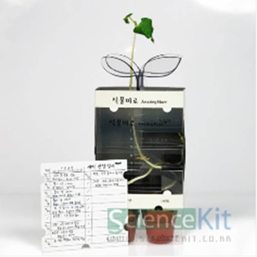 식물미로 (4인용)