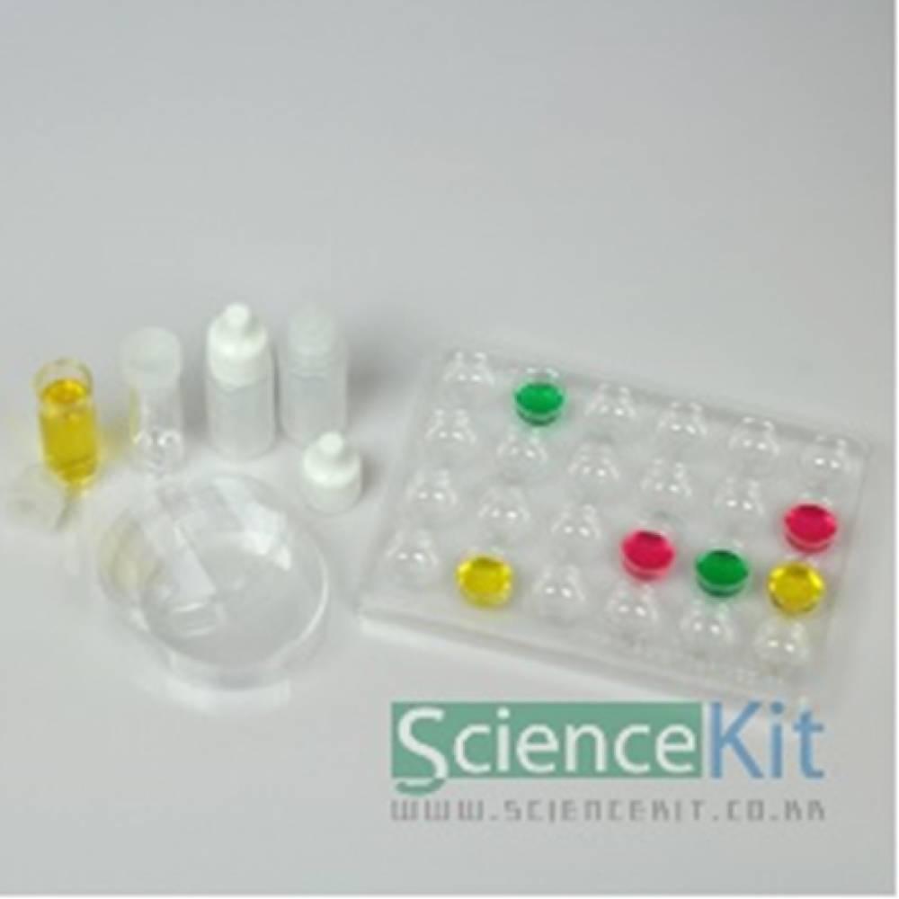 과학실험 스타터세트 3S