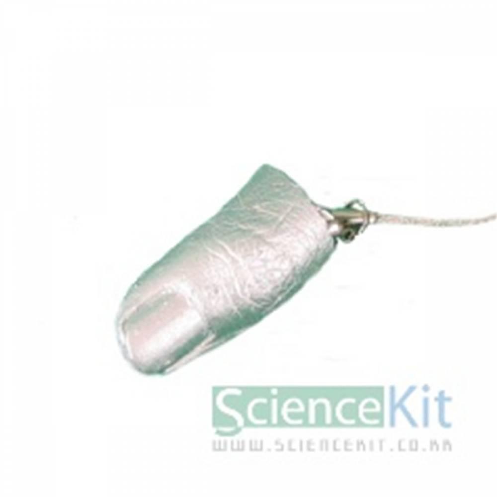 손가락화석-석고 (12인용)