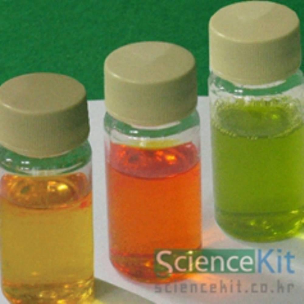 매직솔루션(4인용)