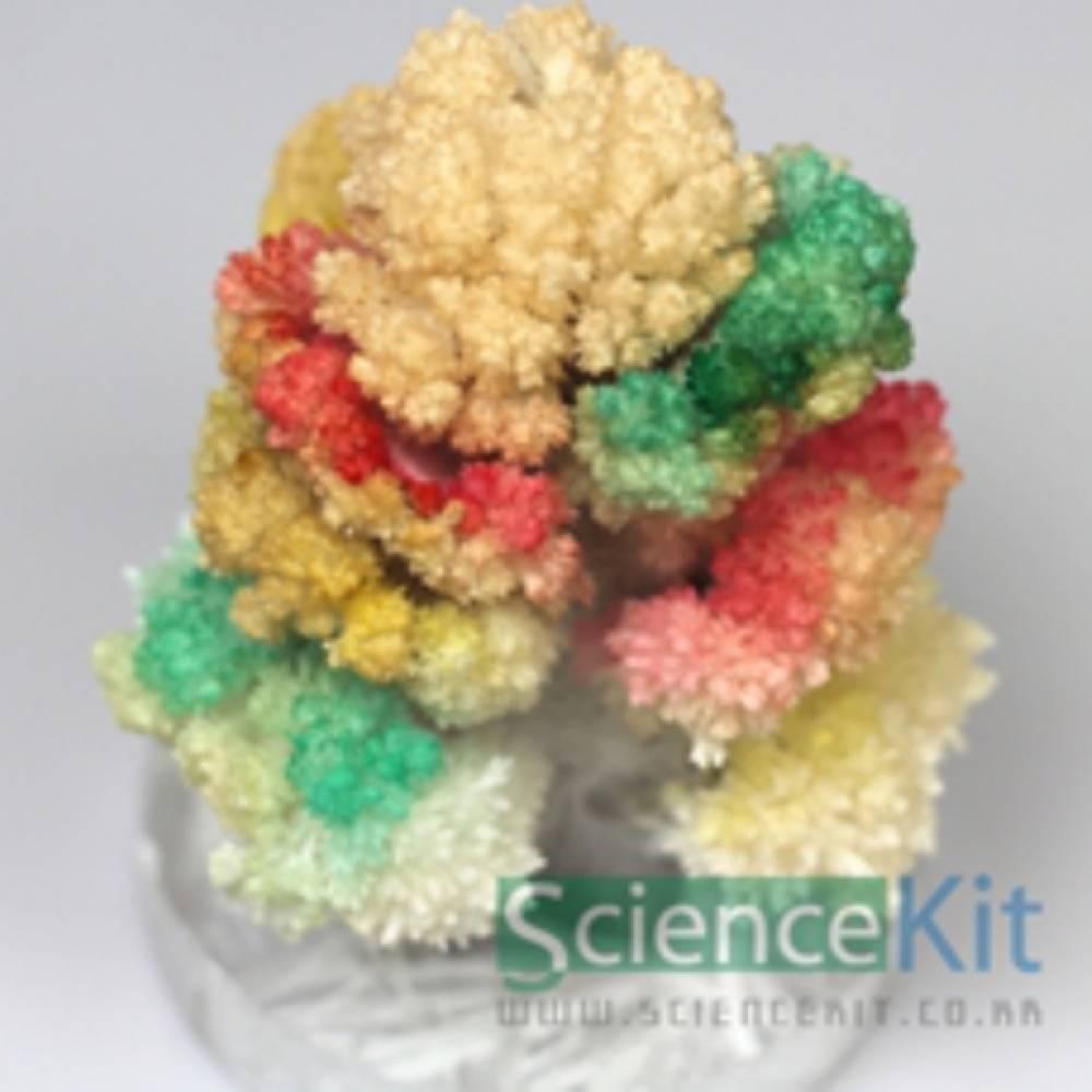 요소결정나무(4인용)