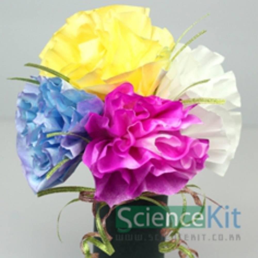 변해라 요술꽃(4인용)