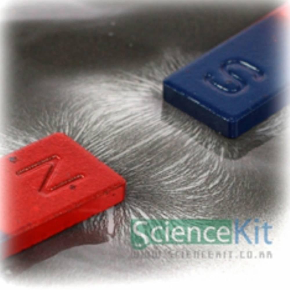 자석이 그린 그림 -자기력선관찰(4인용)