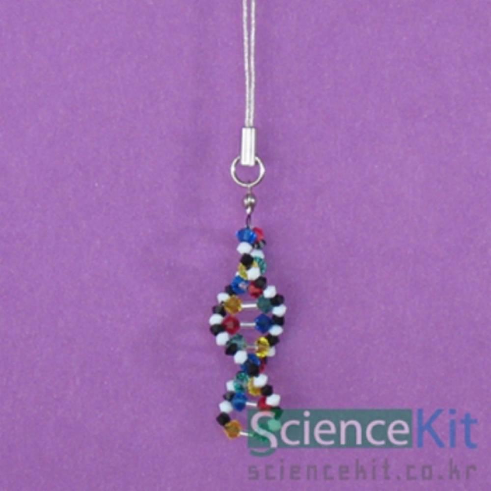 크리스탈비즈 DNA모형(1인용)