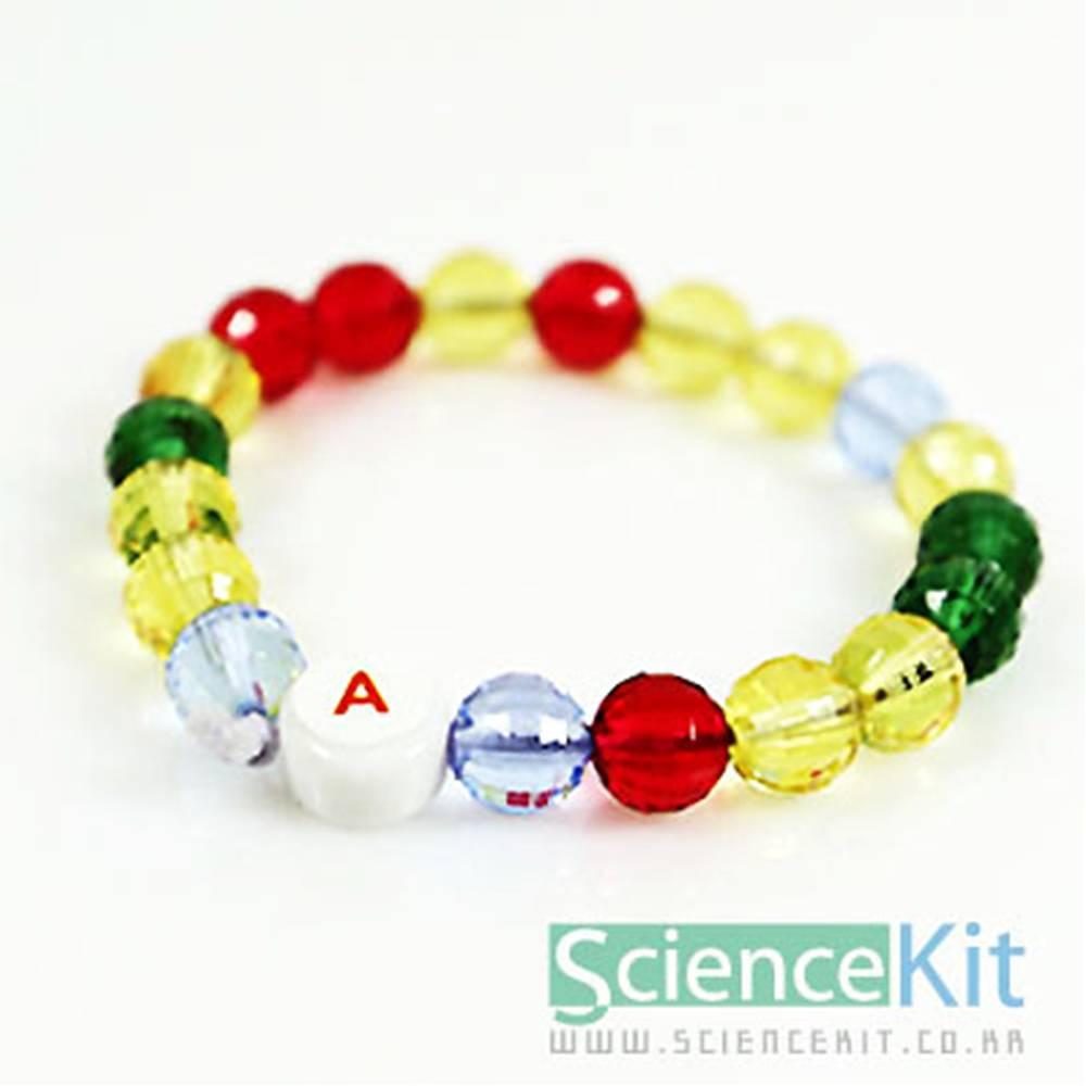 DNA팔찌(투명 4인용)