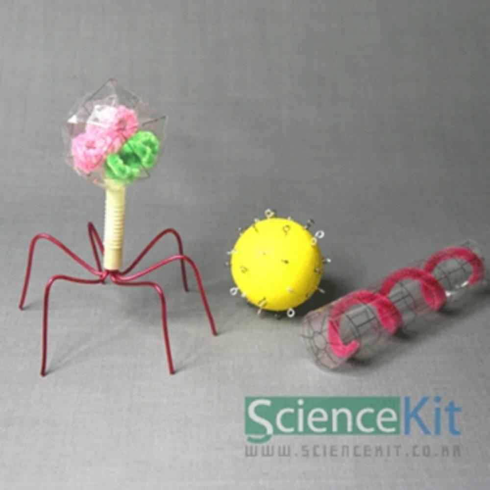 바이러스(4인용)