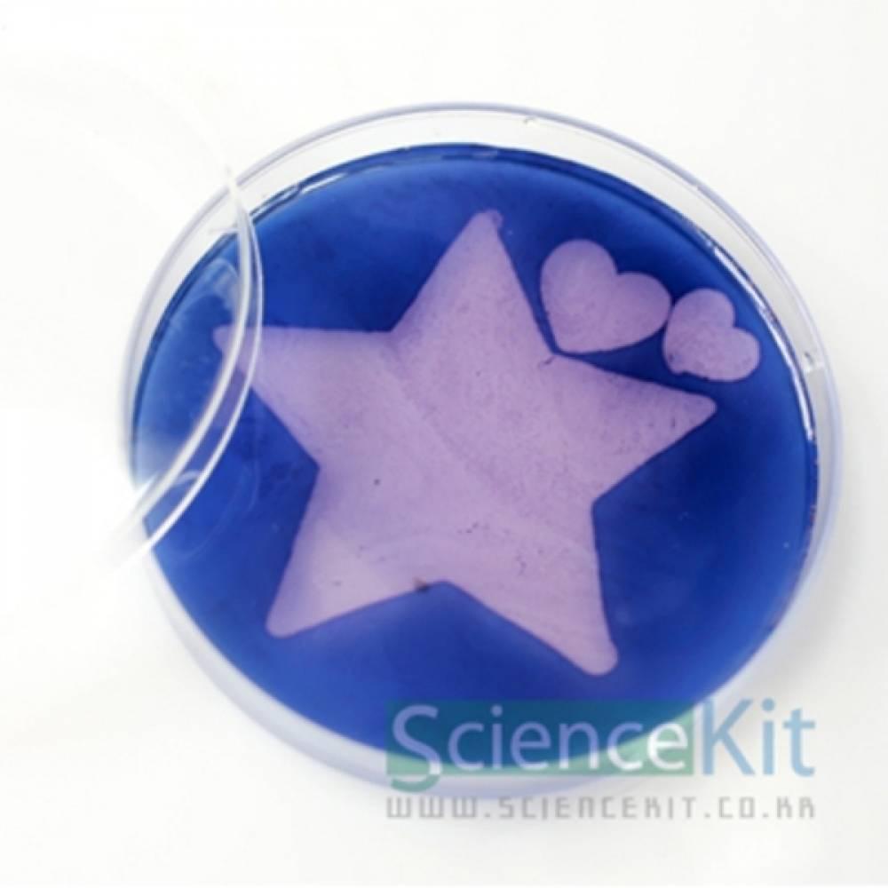 아밀레이스의 메시지(4인용)