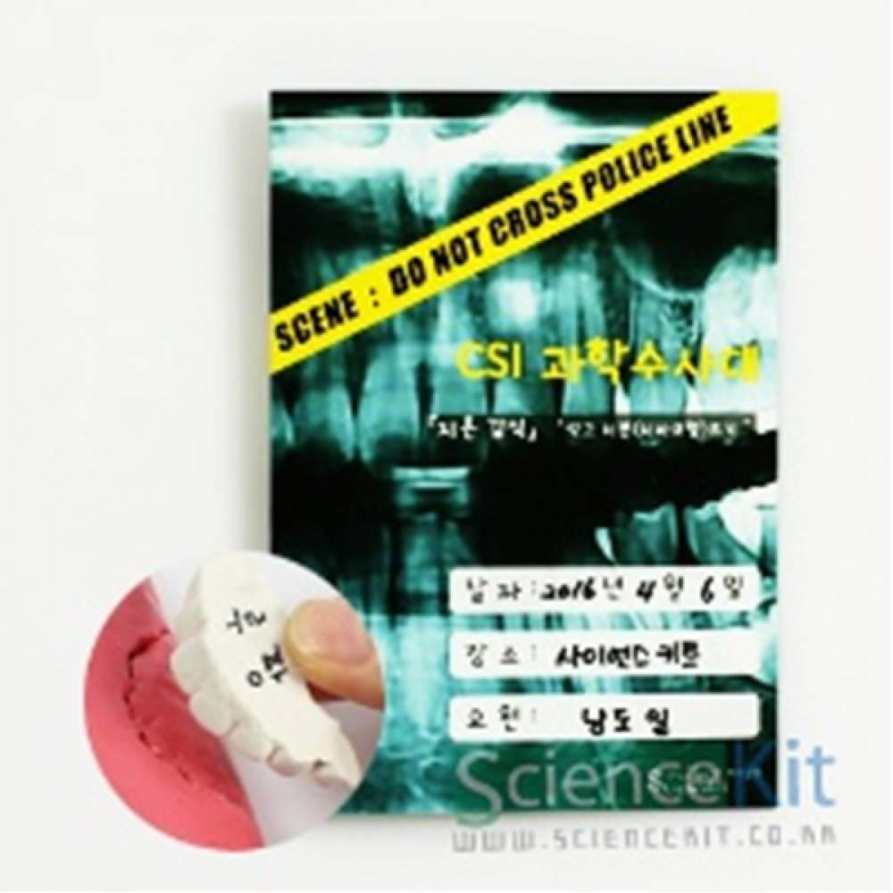 CSI 과학수사대 치흔 감식 석고 치본 뜨기(4인용)