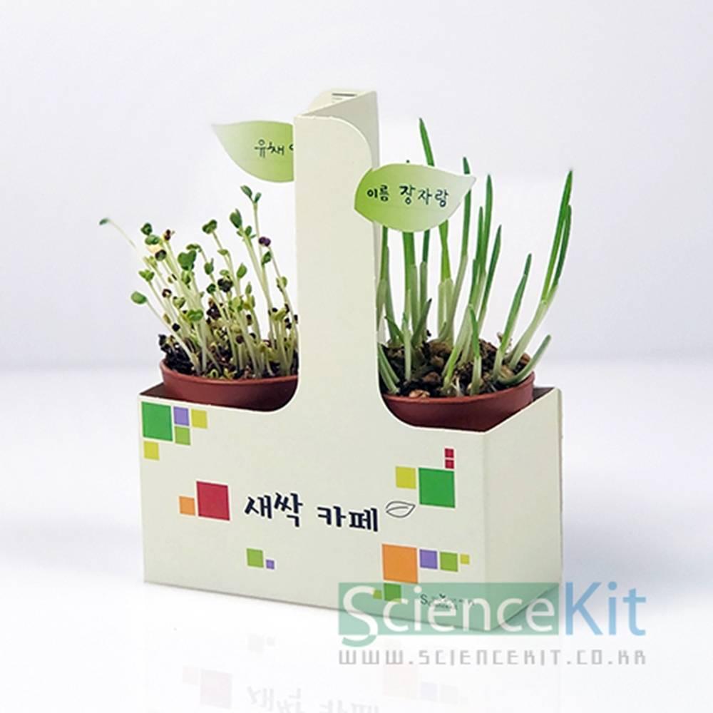 새싹카페(4인용)