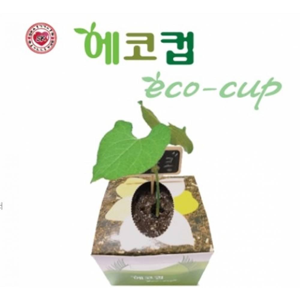 석광 강낭콩기르기-5000