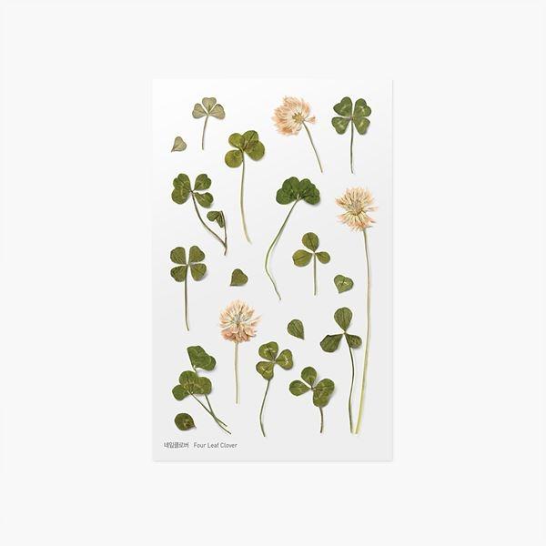압화스티커_네잎클로버