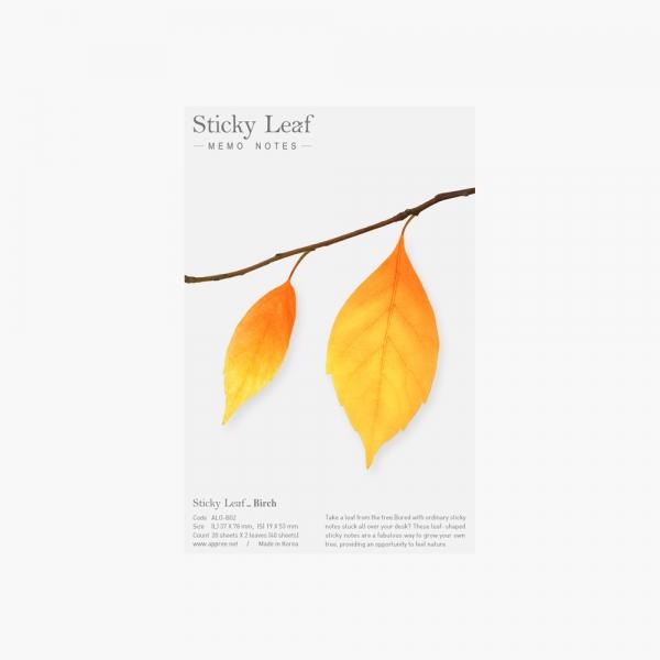 스티키리프_버치(Brown,M)