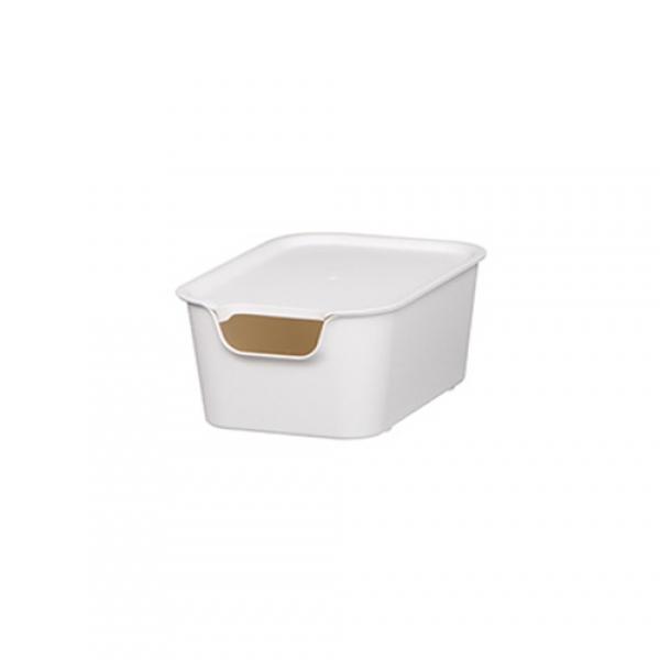 A EL  소 - 아이보리