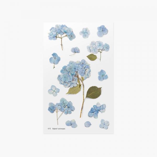 압화스티커_수국