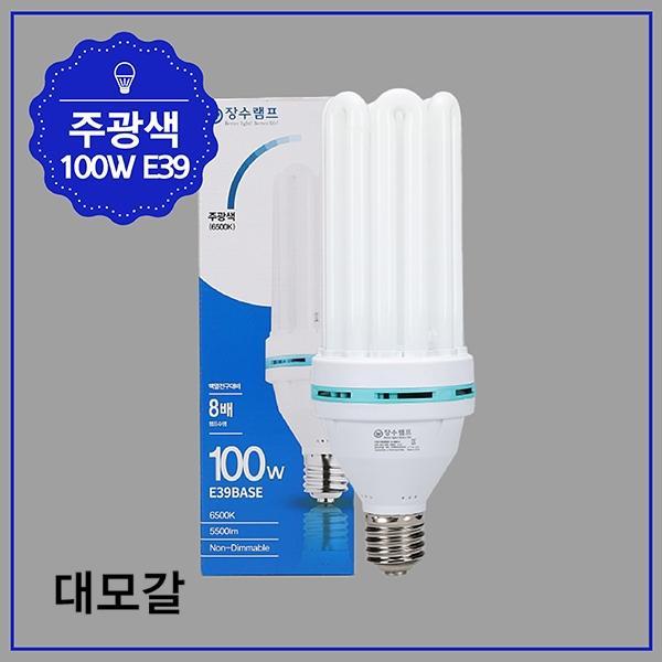 EL 램프 100W ★주광★