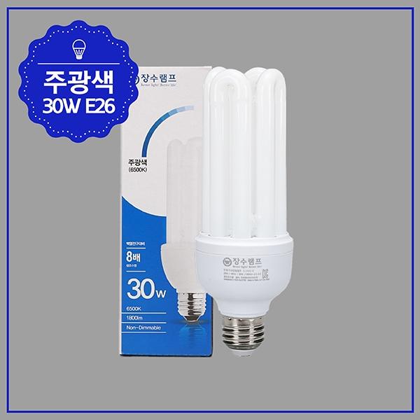 EL 램프 30W ★주광★