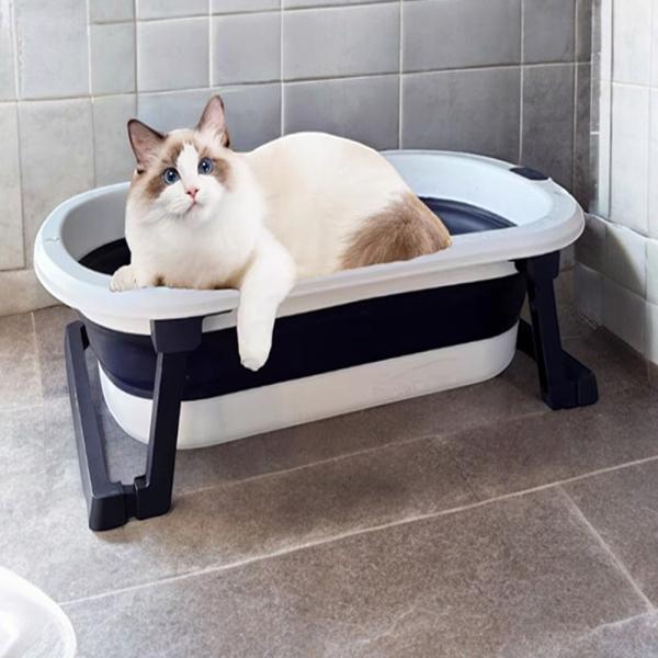 토토리빙 대형 반려동물 애견 목욕통 폴딩 논슬립 이동식 간이 애완 목욕탕 소형견 미니 욕조