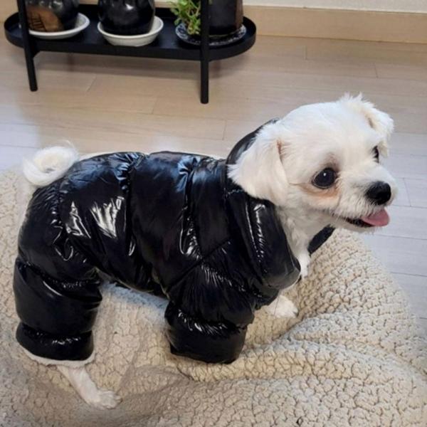 반려견 겨울 유광 롱패딩 점퍼 M 애견패딩조끼