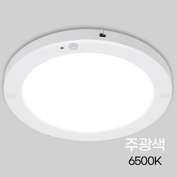 원형 LED 센서등 라인 20W ★주광★ 엣지