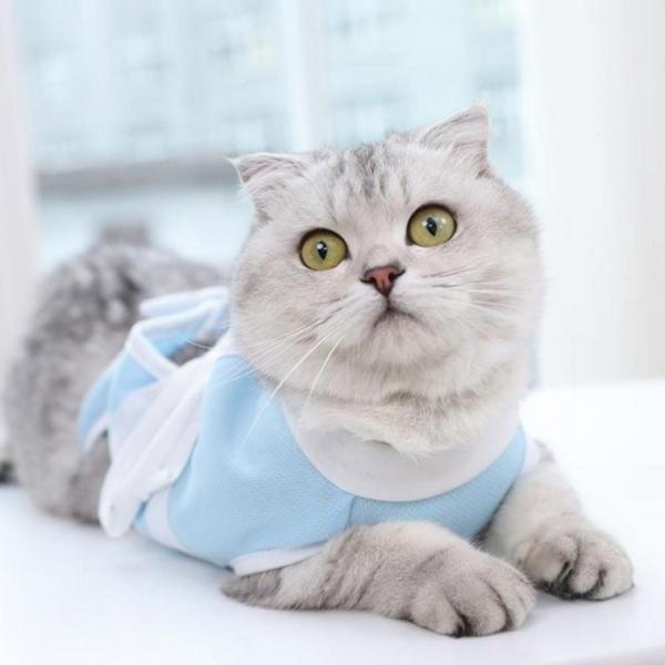 반려 동물 수술 중성화옷 고양이 수술복 중성복 수술옷 겨울옷 애완 용품 애견 패딩 의류