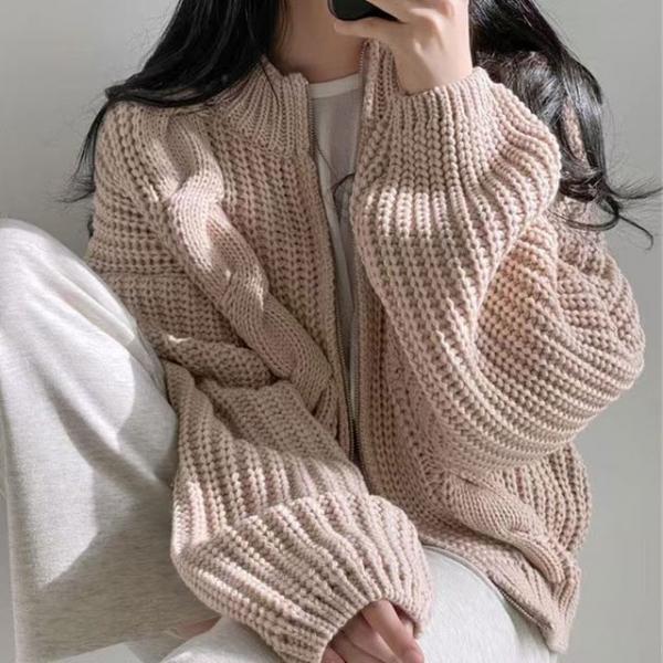 베이직 캐주얼 여성 숏 지퍼 가디건