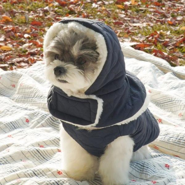 강아지 패딩 귀돌이 모자 네이비 1세트 겨울 산책