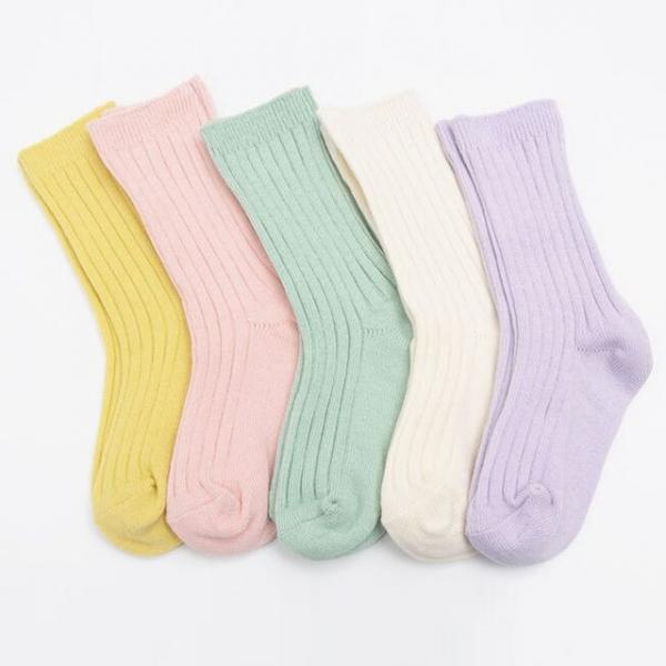 베이직 컬러 기본 골지 양말 5족 어린이 초등학생