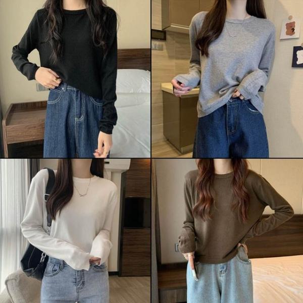 베이직단색니트 가을겨울l