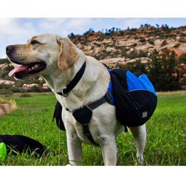 애견배낭 백팩 M 1p 강아지 이동가방 캐리어 이동장