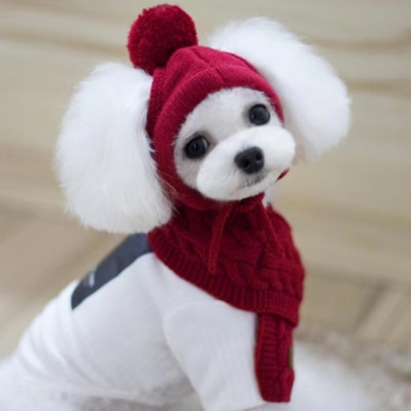 특가 강아지 모자 목도리세트