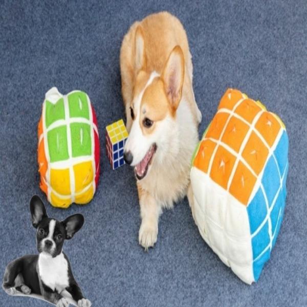 [사러왕]강아지 노즈워크 장난감 애견 큐브 노즈워크 코담요 공 인형 터그놀이 분리불안 훈련 스트레스해소