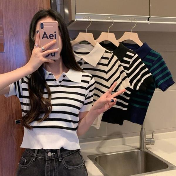 여성 스트라이프 카라 여름 반팔니트 HH-E52