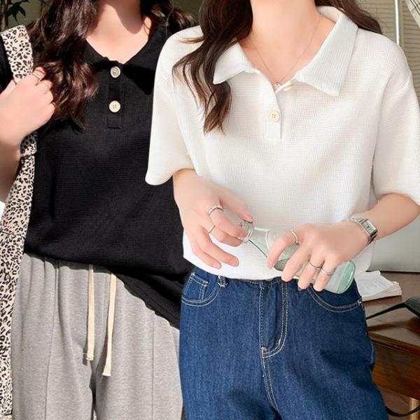 여자 기본 와플 짜임 여름 외출 카라 반팔 티셔츠