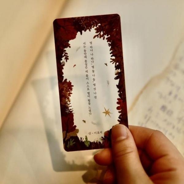 문학 투명 책갈피 북마크 시즌 예쁜 굿즈 봄 여름 가을 겨울 소설 시 원고지 꽃갈피 반 북마