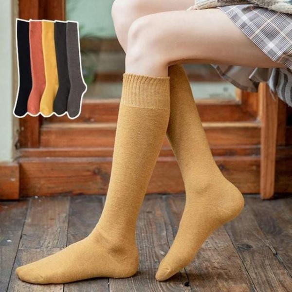 여성 베이직 기본 기모안감 니삭스 겨울 양말 니삭스 기모 판타롱