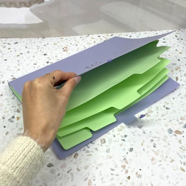 다기능 아코디언 파일 퍼플