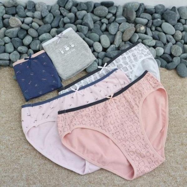 5매입 귀여운 고양이팬티 여자면팬티 삼각팬티 주니어 여아속옷 요일팬티