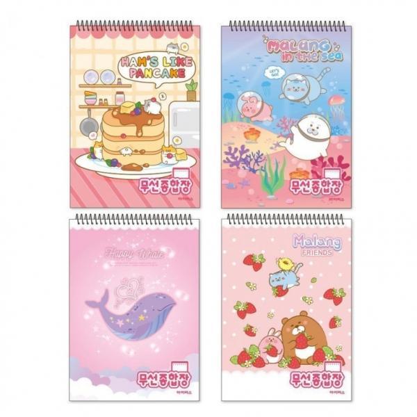 아이비스 2000 무선종합장(여) 12234