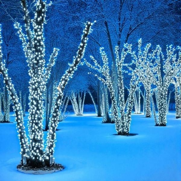 코지 500구 LED 크리스마스 크리스마스트리전구