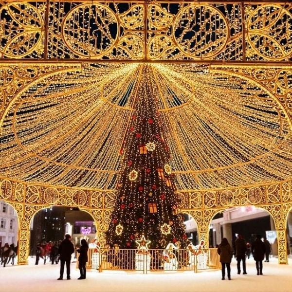 코지 500구 LED 크리스마스트리전구 LED전구