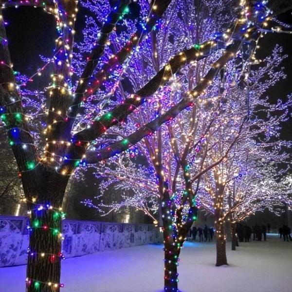 코지 100구 LED 크리스마스트리전구 크리스마스조명