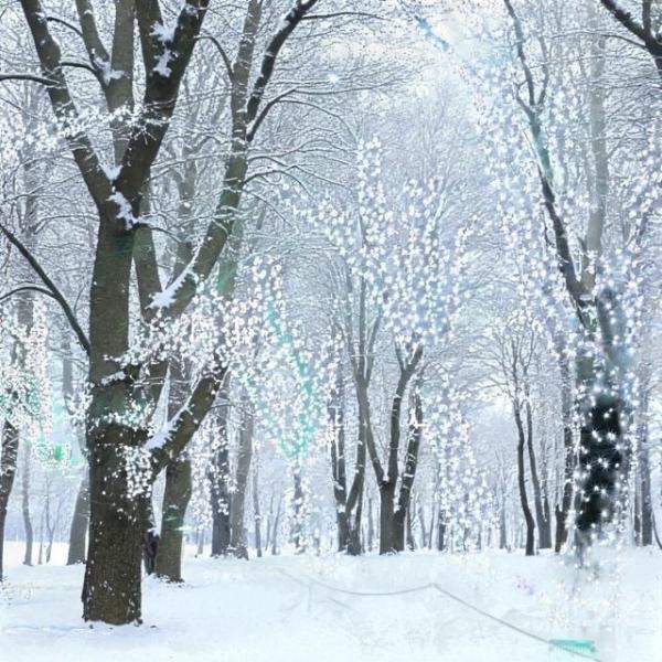 코지 100구 10m 반짝이전구 크리스마스조명