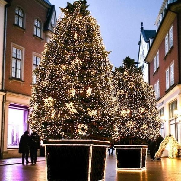 코지 600구 트리전구(웜색) 츄리전구 크리스마스용품